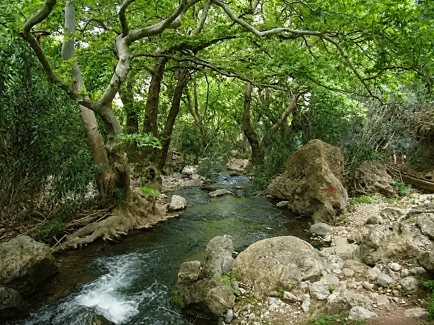 Ταξίδι ευεξίας του Σώματος Τέχνη